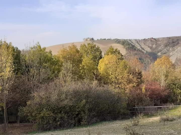 Ai Boschi Apartment Ozzano dell'Emilia Ngoại thất bức ảnh