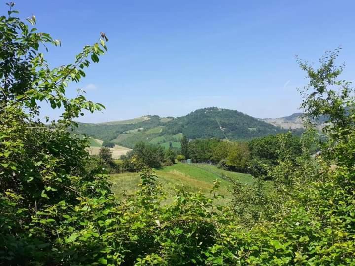 Ai Boschi Apartment Ozzano dell'Emilia Ngoại thất bức ảnh