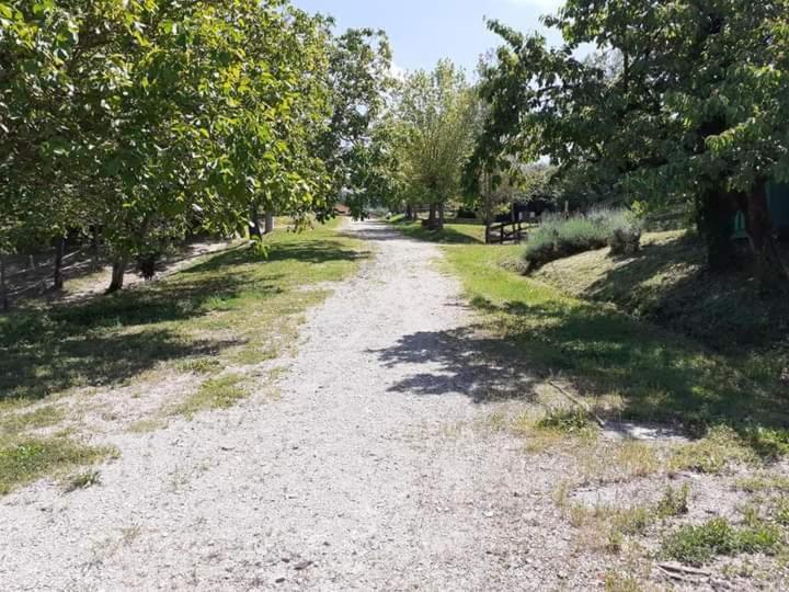 Ai Boschi Apartment Ozzano dell'Emilia Ngoại thất bức ảnh